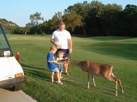 2003-08-18 19-06-35.JPG
